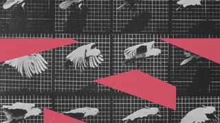 Moving Pictures: Encounters