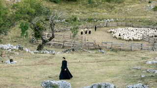 Zubi nepokazani, pička servirana